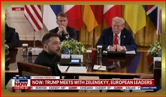 2025-08-18 at 8.17.57.jpeg